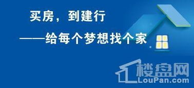 建行声明 我们提供金融中介服务，未涉足融资收房业务